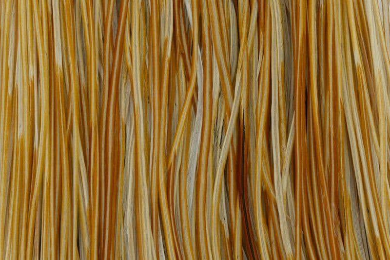 Whiting Silver Saddle Honey Dun view 1