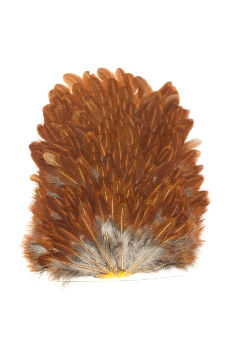 4 B's Hen Saddle Brown view 2