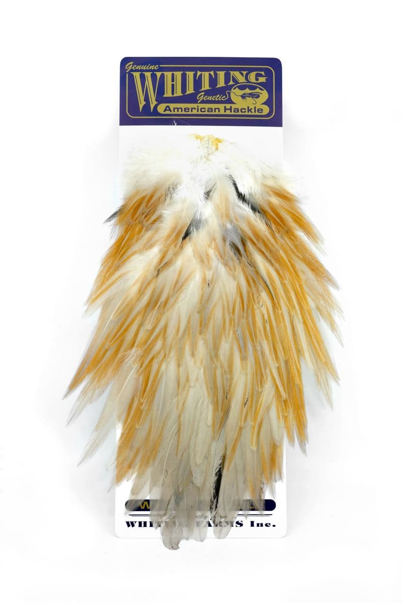 American Rooster Saddle Honey Dun view 3