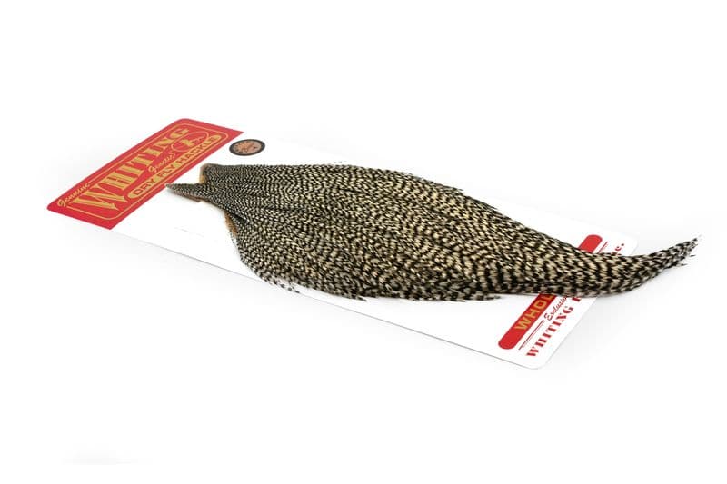 Whiting Bronze Cape Grizzly view 2