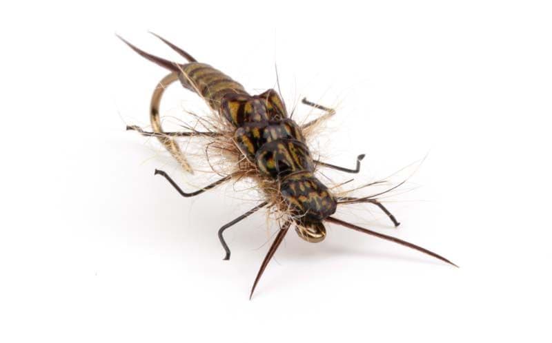 Stonefly Back Brown view 3