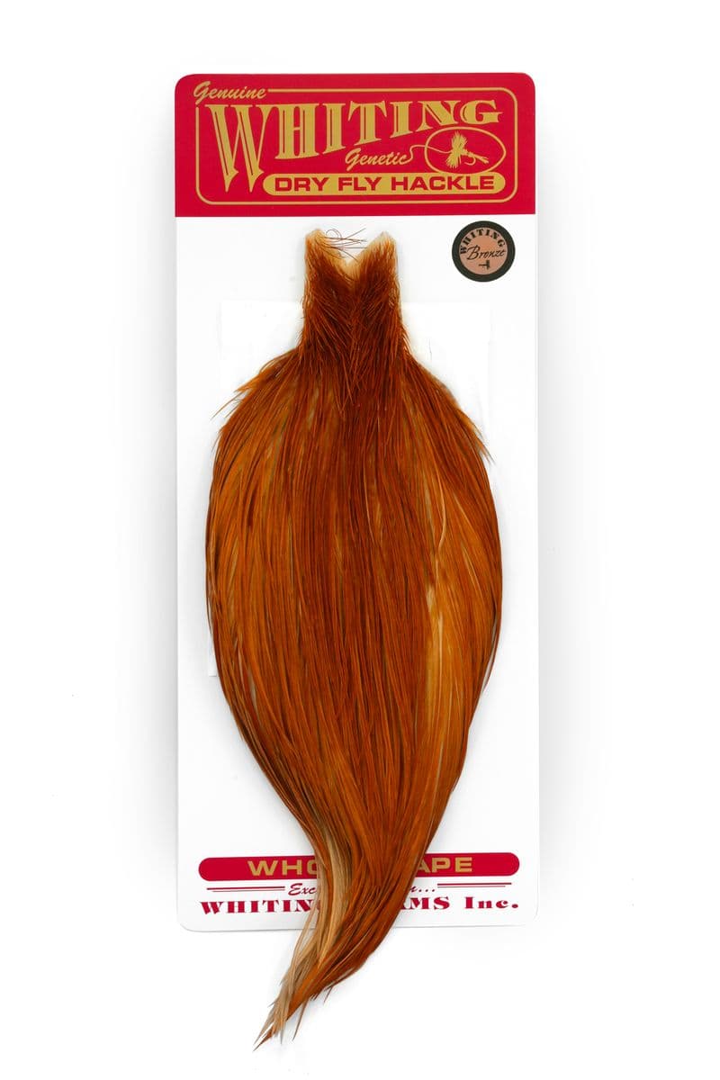 Whiting Bronze Cape Medium Ginger view 3
