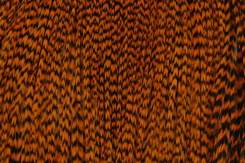 Whiting Pro Grade Cape Grizzly dyed Burnt Orange view 1
