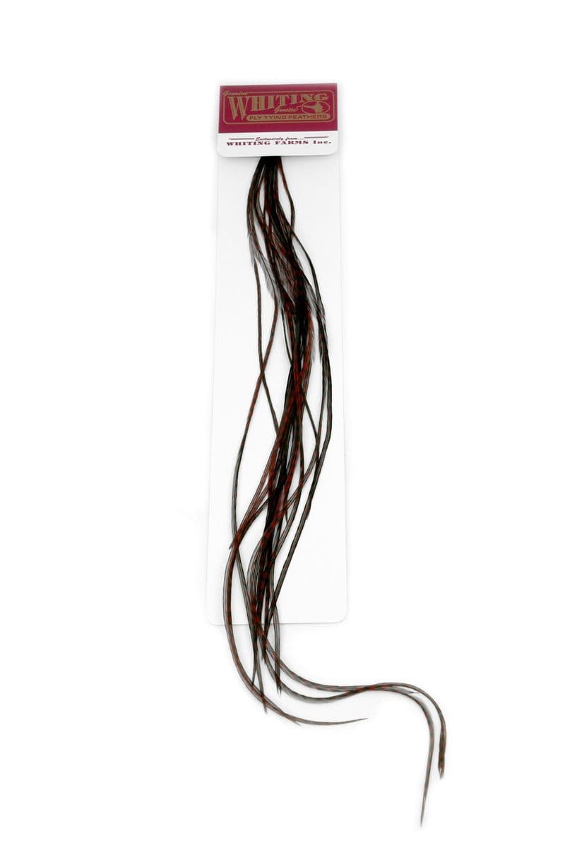 Whiting 100 Pk Size 18 Grizzly dyed Coachman Brown view 2