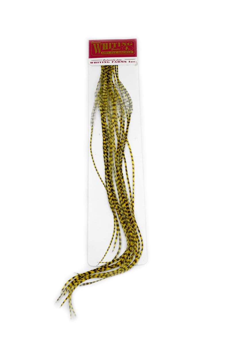 Whiting 100 Pk Size 14 Grizzly dyed Pale Yellow view 2