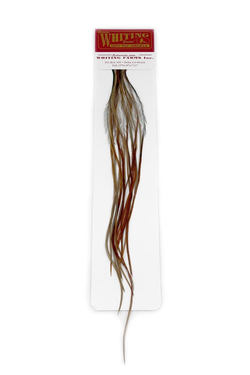 Whiting 100 Pk Size 14 Furnace view 2