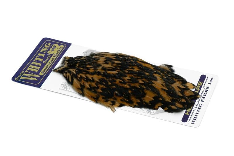American Hen Cape Black laced Brown view 2