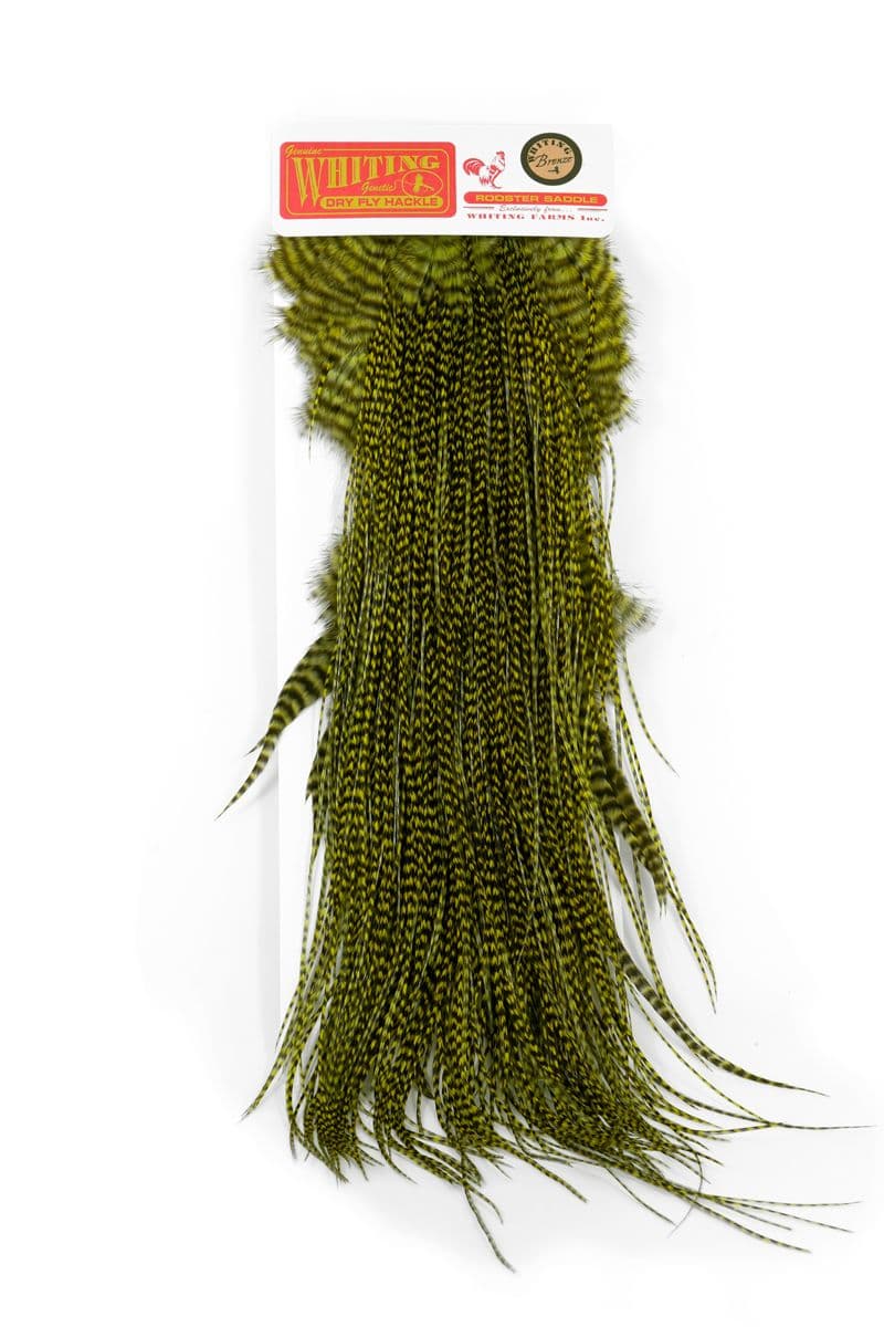 Whiting Bronze Midge Saddle Grizzly dyed Olive view 3