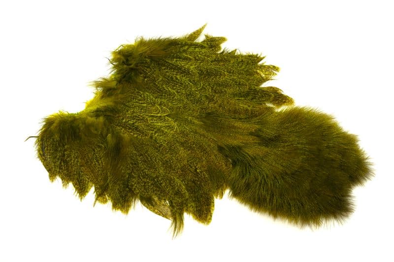 Coq De Leon Hen SH/C Speckled dyed Golden Olive view 4