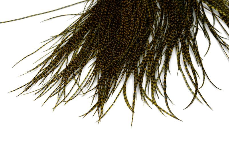 Whiting Bronze Midge Saddle Grizzly dyed Golden Olive view 4