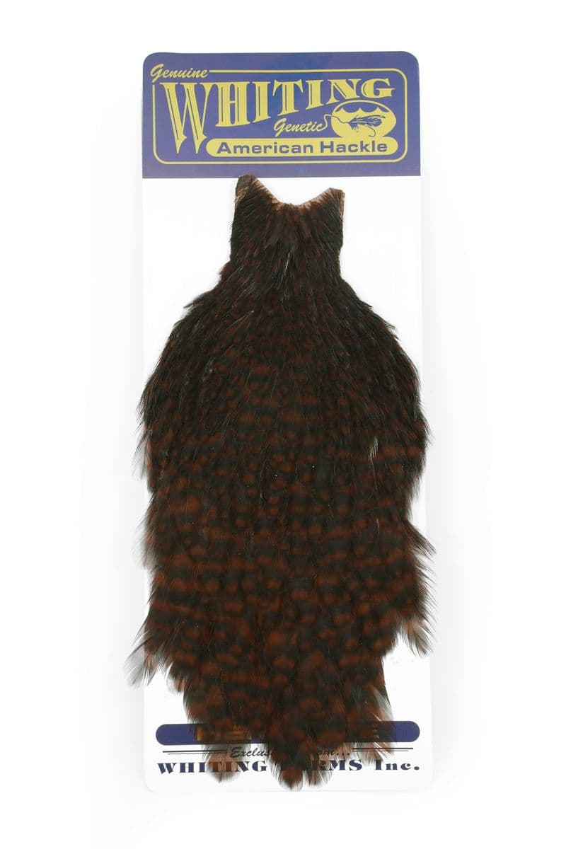 American Hen Cape Grizzly dyed Coachman Brown view 3