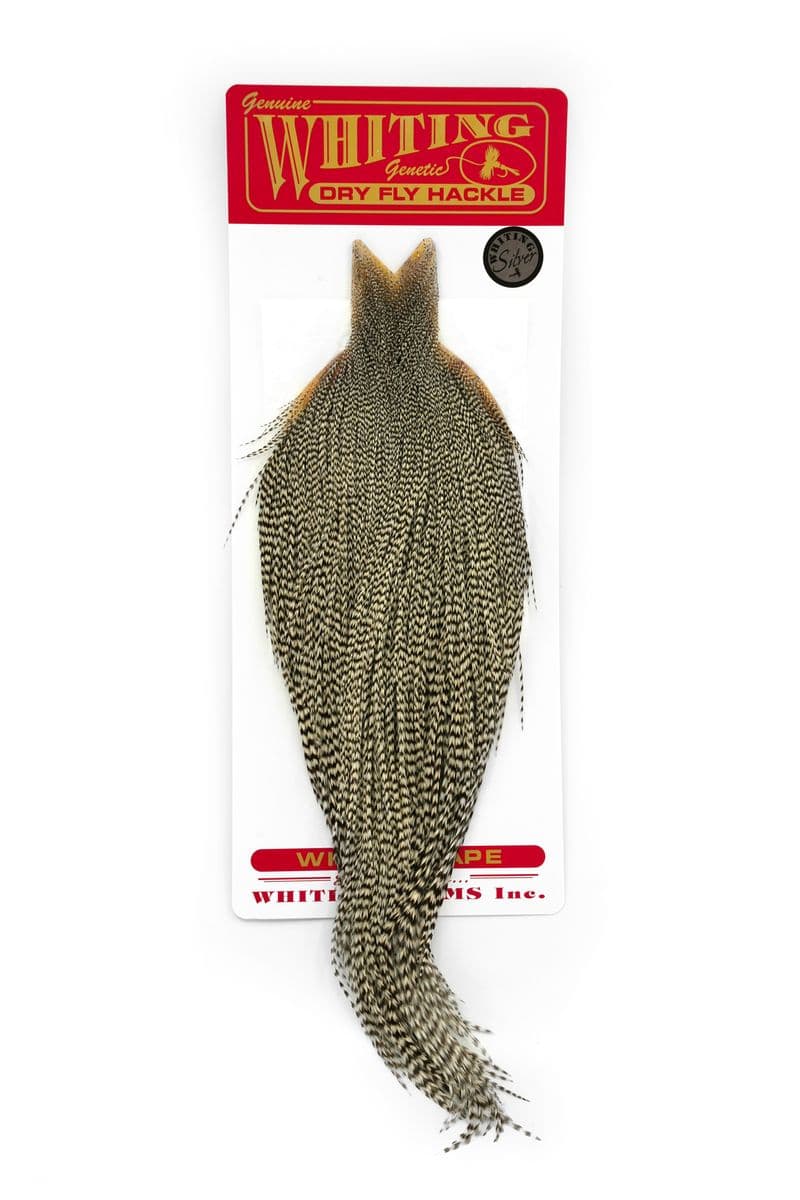 Whiting Silver Cape Grizzly view 3