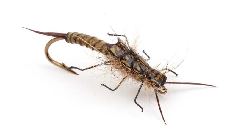 Stonefly Back Brown view 4