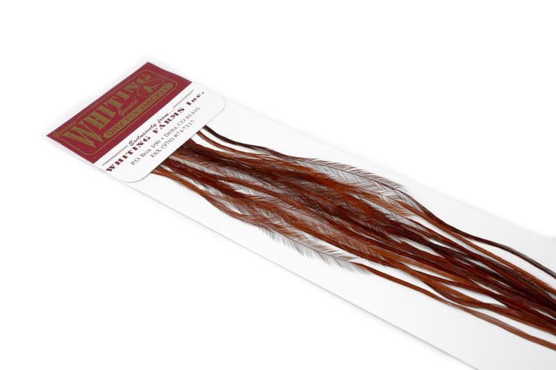 Whiting 100 Pk Size 16 Brown view 3