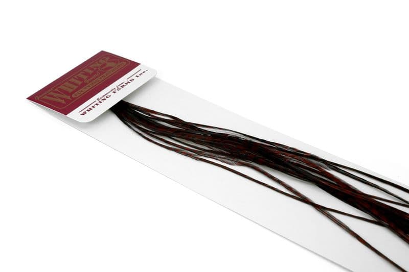 Whiting 100 Pk Size 18 Grizzly dyed Coachman Brown view 3