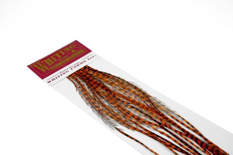 Whiting 100 Pk Size 14 Grizzly dyed Burnt Orange view 3