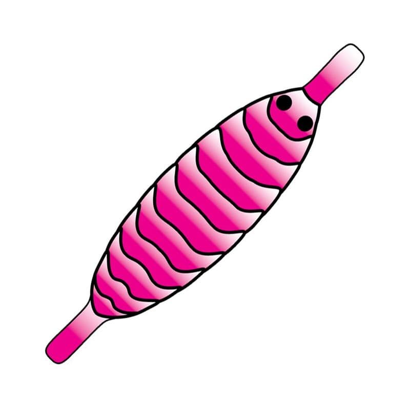 Gammarus Shell Back Pink view 2