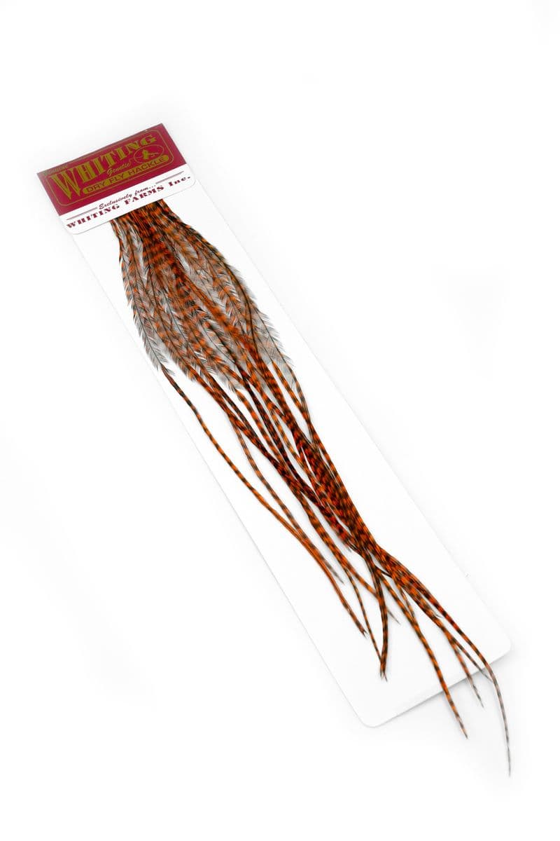 Whiting 100 Pk Size 14 Grizzly dyed Burnt Orange view 1