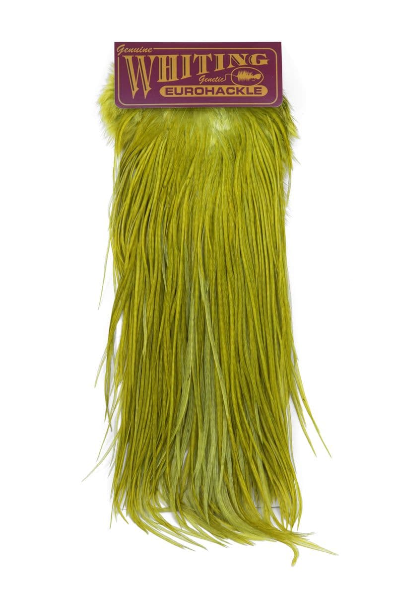 Eurohackle Saddle White dyed Olive view 3