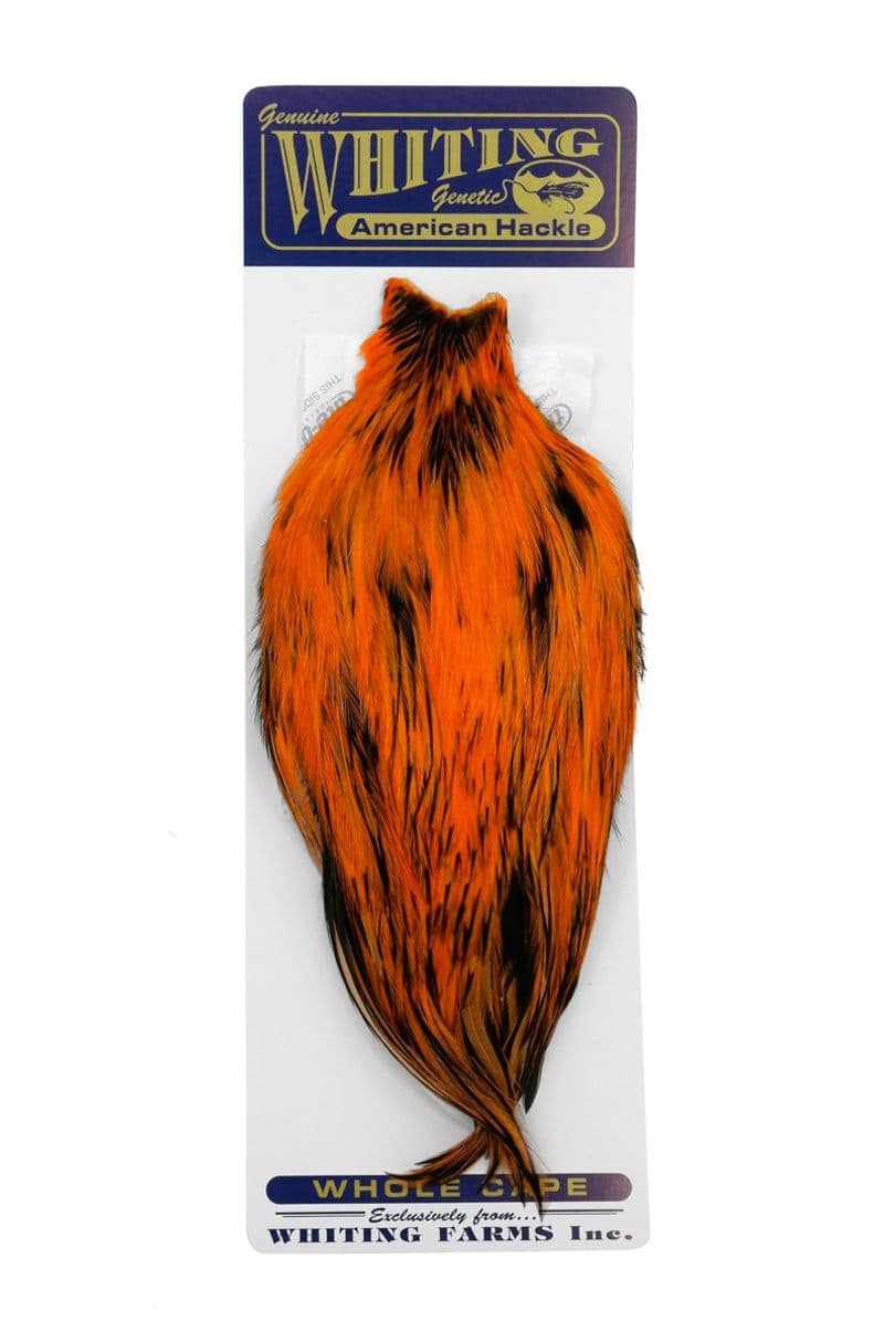 American Rooster Cape BLW dyed Shrimp Orange view 3