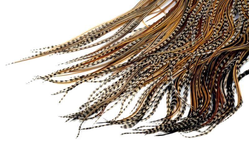 Eurohackle Saddle Unique Variant view 4