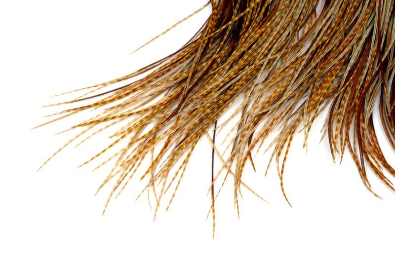 Hebert Bronze Saddle Barred Dark Ginger view 4