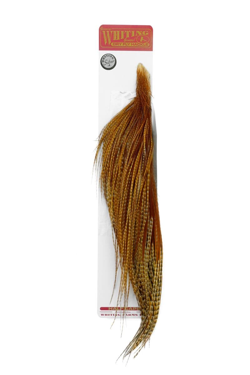 Whiting Silver 1/2 Cape Barred Dark Ginger view 2