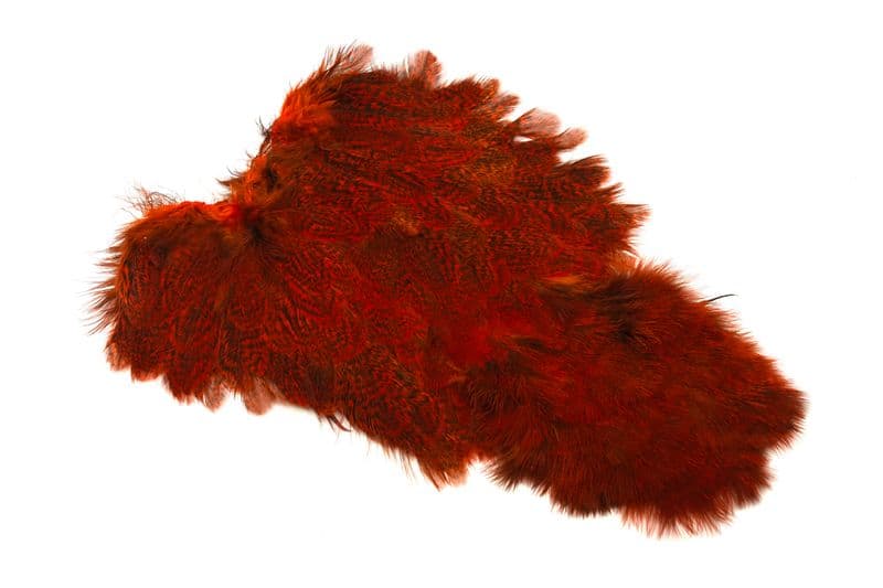 Coq De Leon Hen SH/C Speckled dyed Orange view 4
