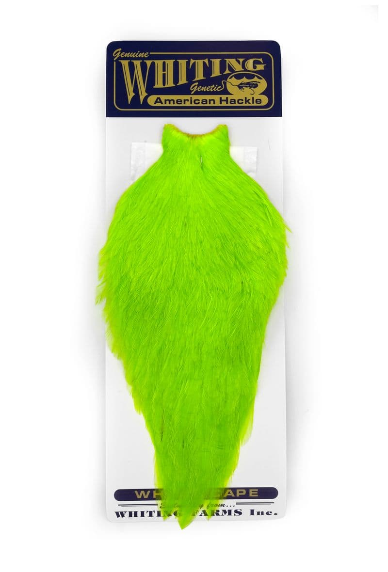 American Rooster Cape White dyed Fl. Green Chartreuse view 3