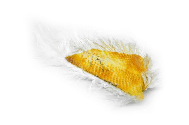 Mini Bird Fur White view 2