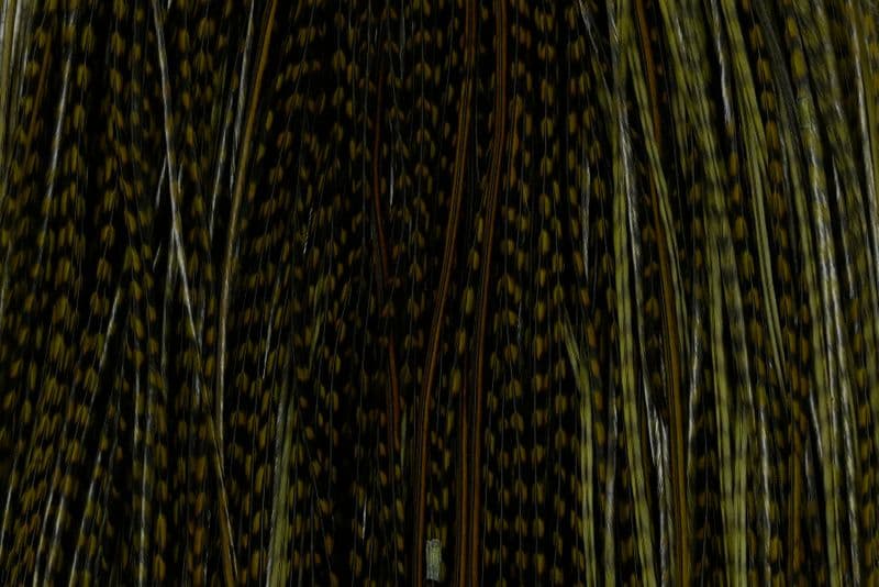 Whiting Pro Grade Midge Saddle Grizzly dyed Dark Olive view 1