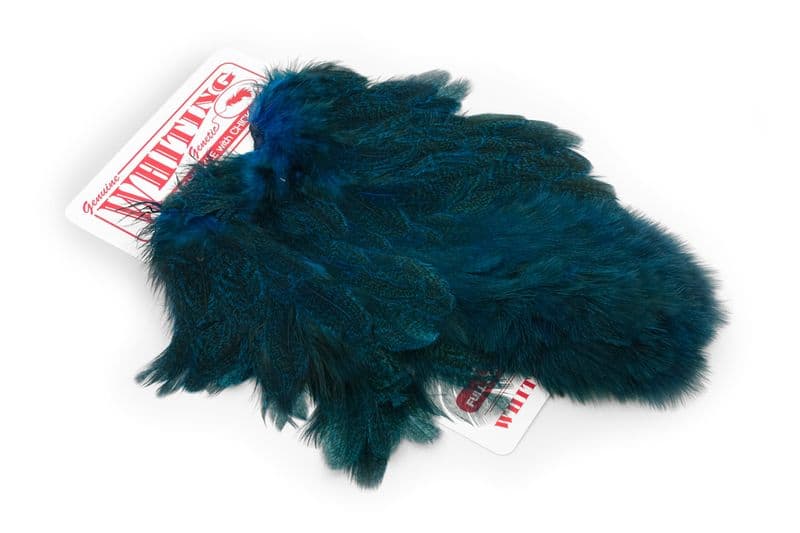 Coq De Leon Hen SH/C Speckled dyed Kingfisher Blue view 2