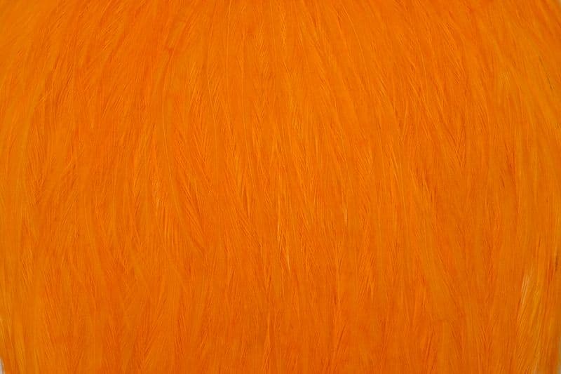 American Rooster Cape White dyed Shrimp Orange view 1