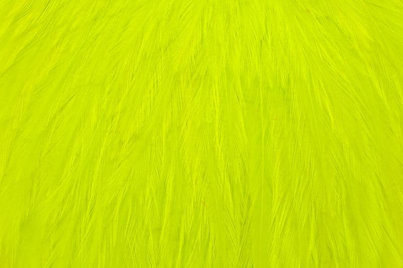 American Rooster Cape White dyed Fl. Yellow Chartreuse view 1