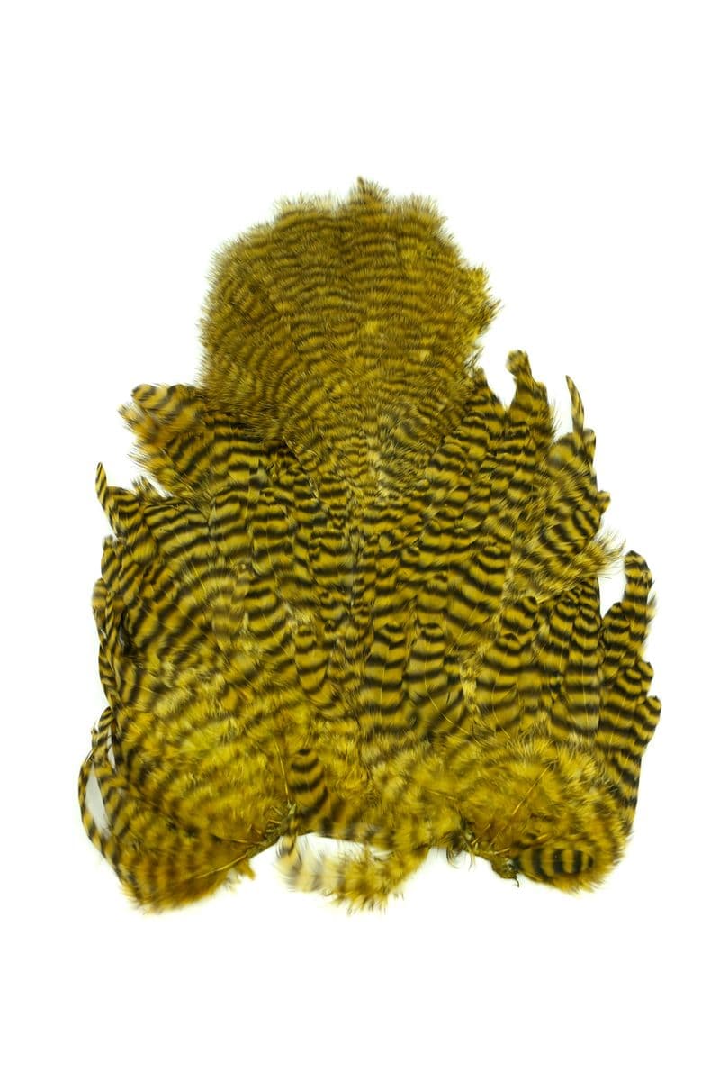 Whiting Rooster SH/C Grizzly dyed Golden Olive view 3