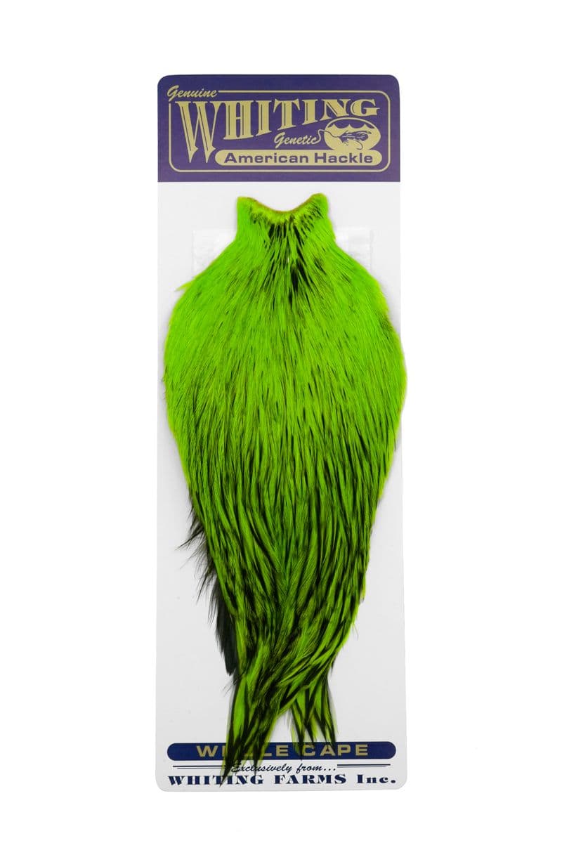 American Rooster Cape BLW dyed Fl. Green Chartre view 3