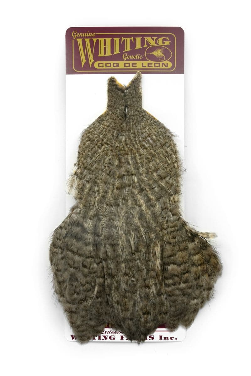 Coq de Leon Hen Cape Unique Variant view 3