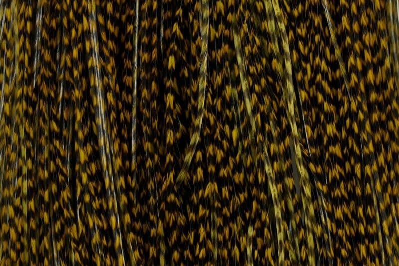 Whiting Bronze Midge Saddle Grizzly dyed Golden Olive view 1