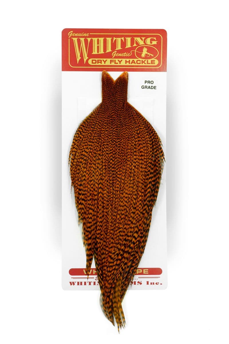 Whiting Pro Grade Cape Grizzly dyed Burnt Orange view 3