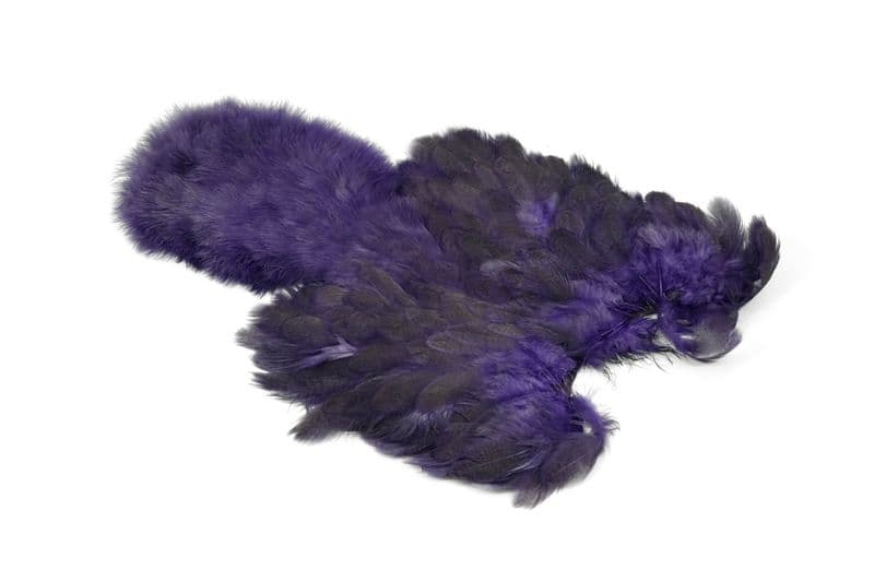 Brahma Hen SH/C Speckled dyed Purple view 2