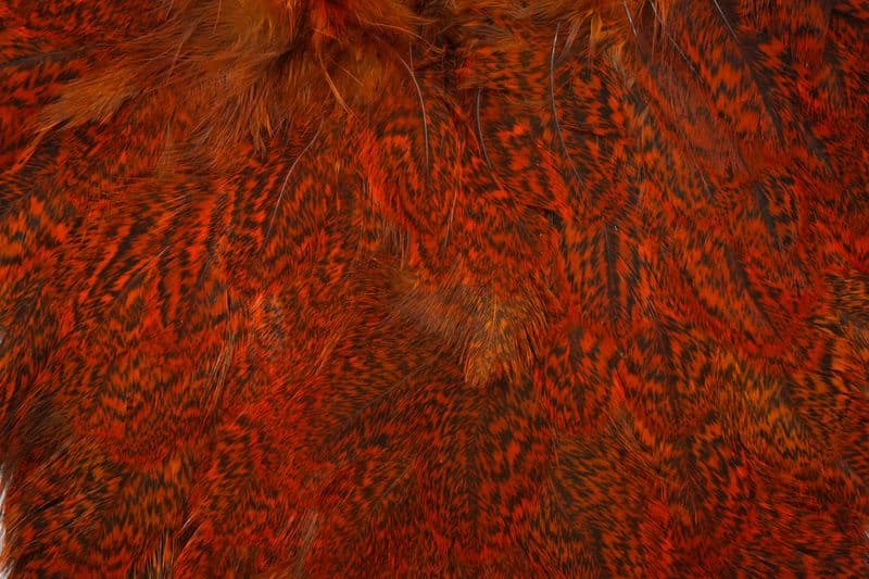 Coq De Leon Hen SH/C Speckled dyed Orange view 1