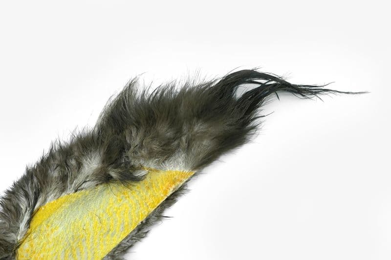 Bird Fur Unique Variant view 4
