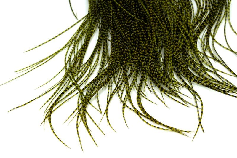 Whiting Bronze Midge Saddle Grizzly dyed Olive view 4
