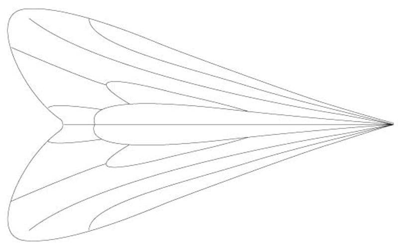 Caddis Wings view 1