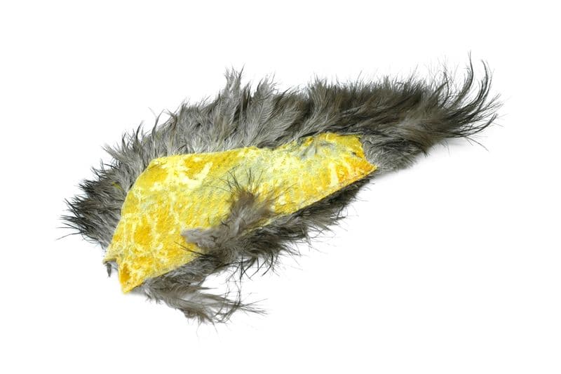 Mini Bird Fur Black view 4