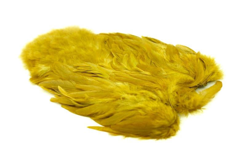 American Hen SH/C White dyed Golden Olive view 2