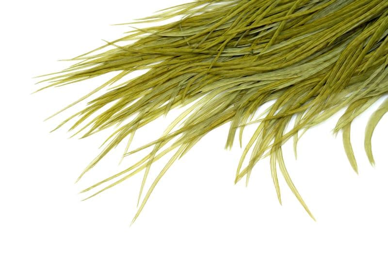 Eurohackle Saddle White dyed Olive view 4