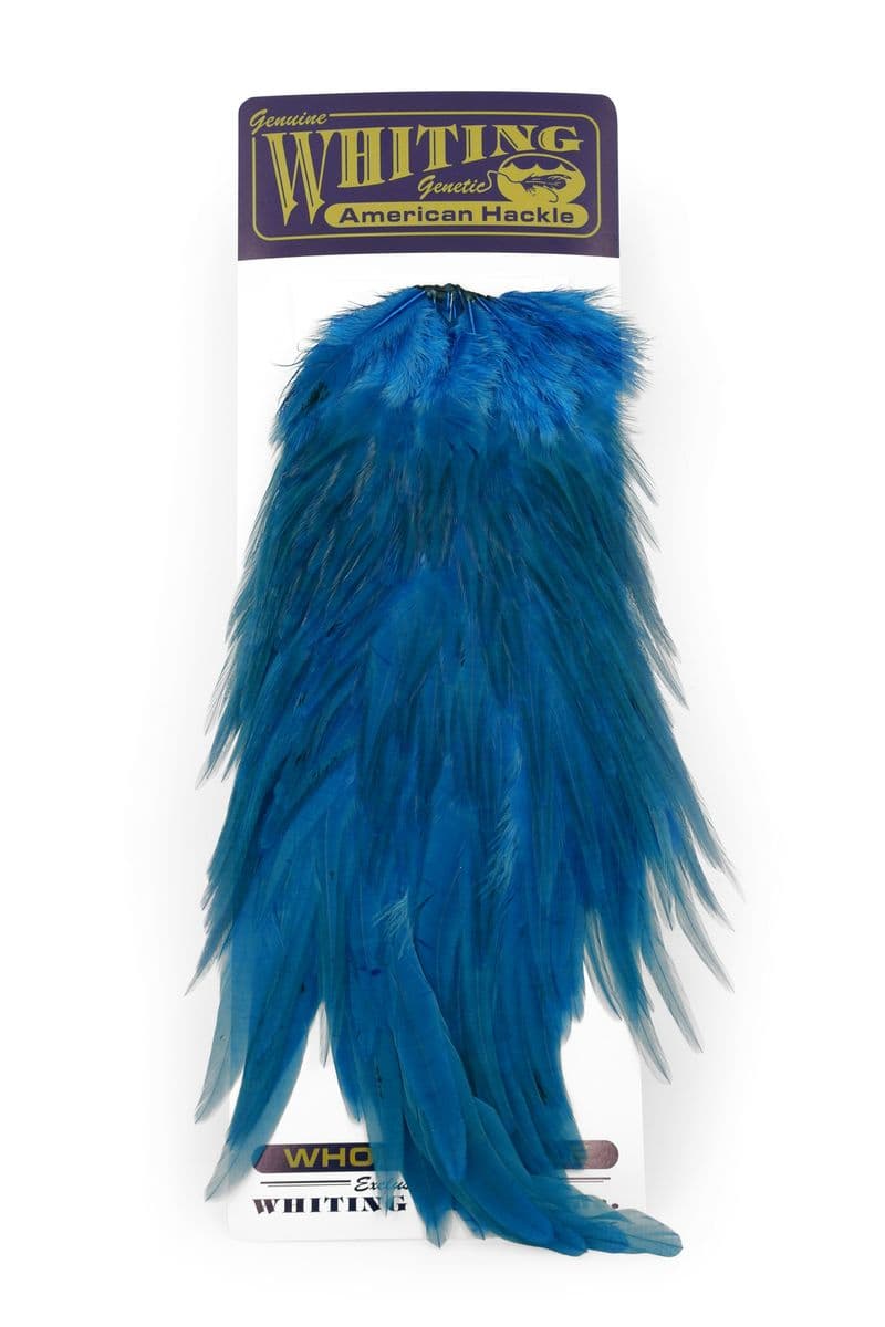 American Rooster Saddle White dyed Kingfisher Blue view 3