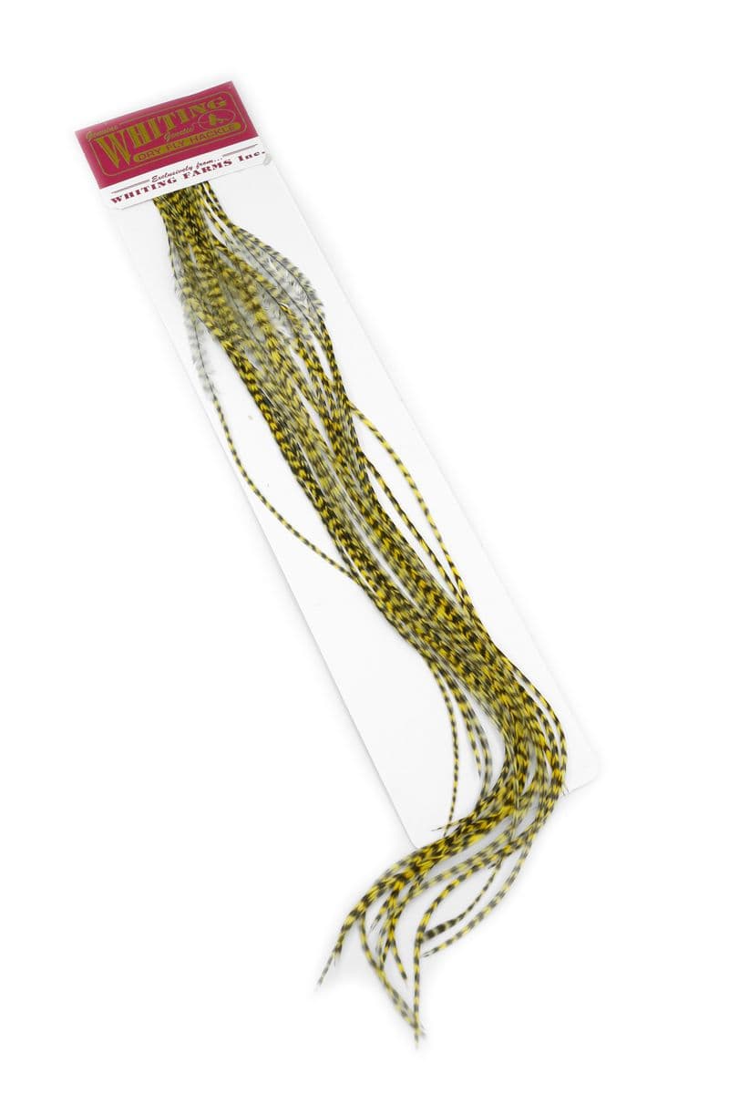 Whiting 100 Pk Size 14 Grizzly dyed Pale Yellow view 1