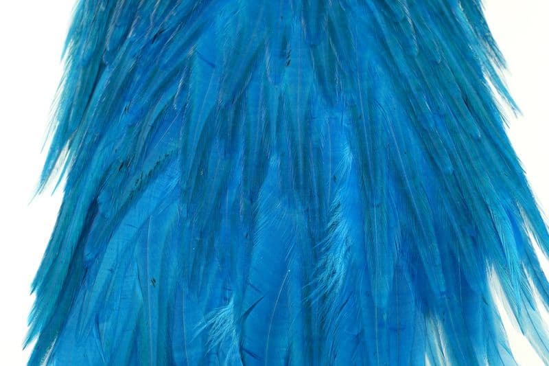 American Rooster Saddle White dyed Kingfisher Blue view 1